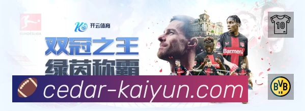 App 展示图